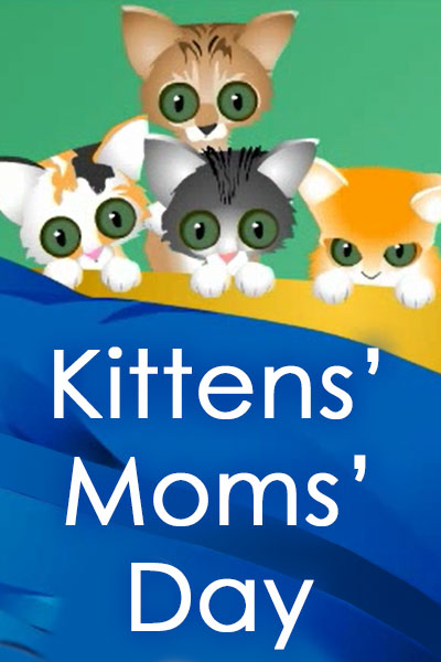 Kitten's Mom's Day
