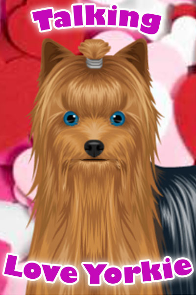 A blue-eyed Yorkie, surrounded by paper hearts.